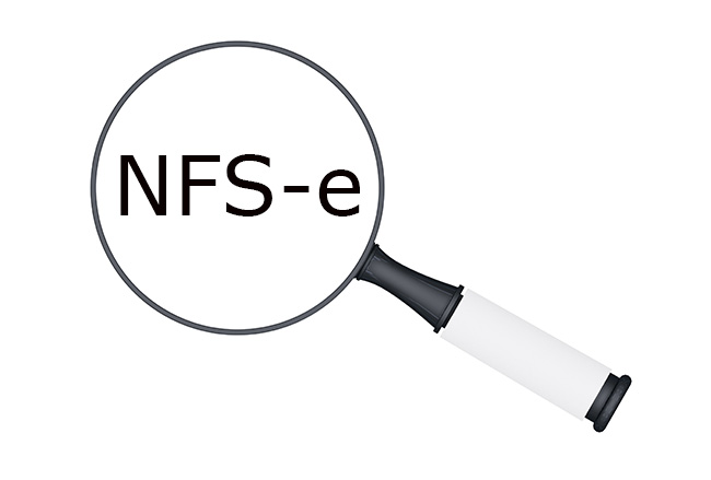 Nota Fiscal de Serviço Eletrônica - NFS-e - Nota Fiscal de Serviço  Eletrônica - NFS-e