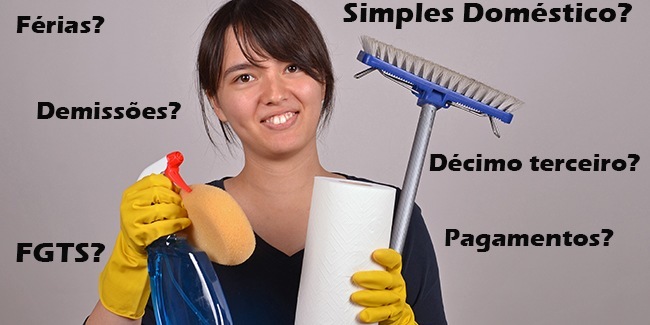 simples domestico