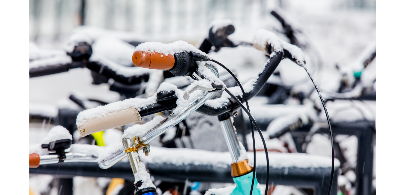 Seguro de bikes